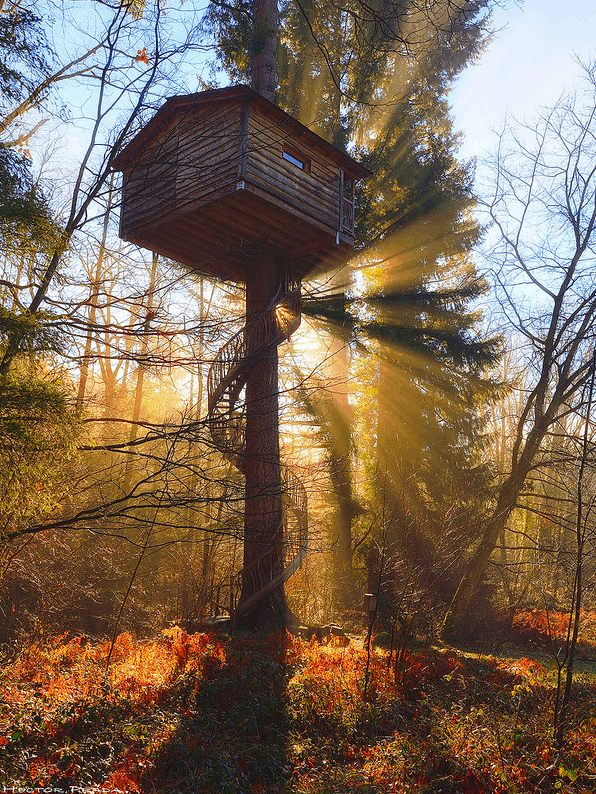 Best Treehouse Ideas