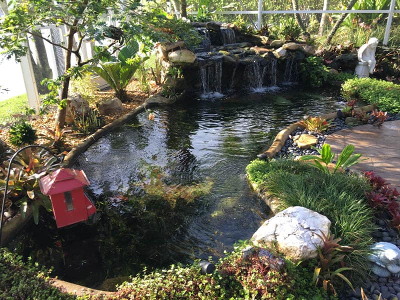 15 Best Koi Pond Ideas For Your Garden (With Pictures) - The Tilth