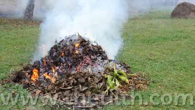 Do Burned Leaves Make Good Fertilizers?