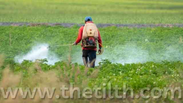 Can You Mix Fungicide with Fertilizer?