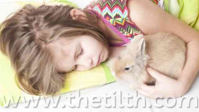 Can Bunnies Sleep With You?