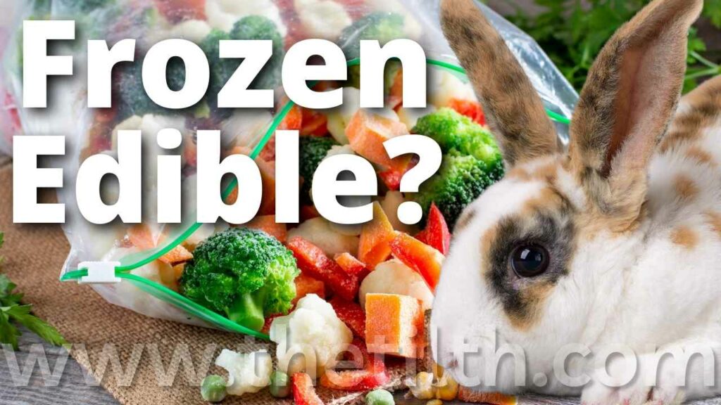 Can Rabbits Eat Frozen Vegetables