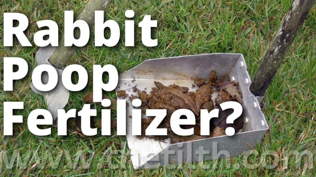 Is Rabbit Poop Good Fertilizer For Grass