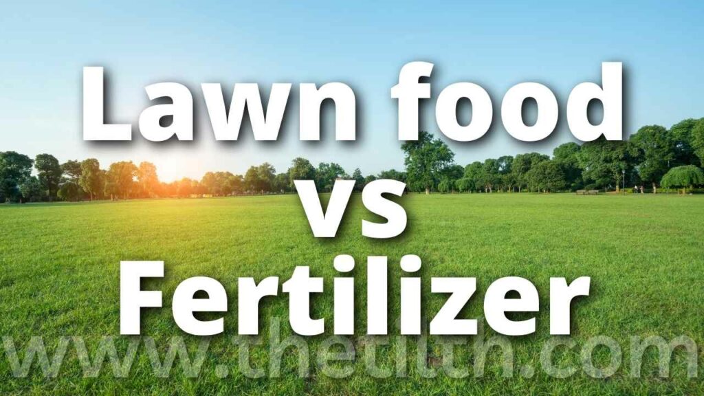 Is Lawn Food the Same As Fertilizer?